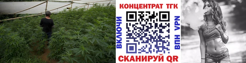 Дистиллят ТГК жижа где купить Апатиты