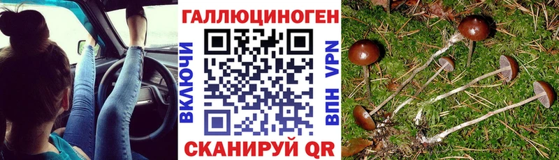 что такое наркотик  Апатиты  Галлюциногенные грибы Cubensis 